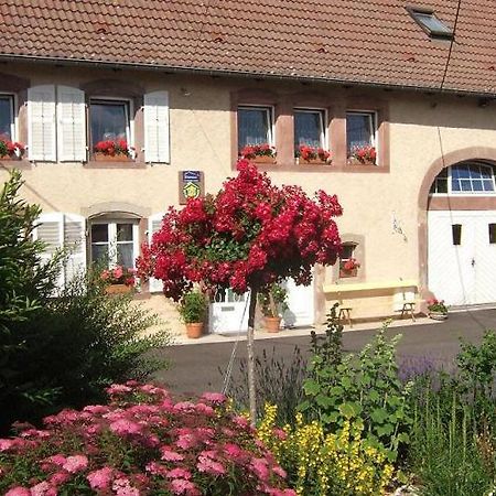 Chambre D'Hote Au Grenier D'Abondance Niderviller エクステリア 写真