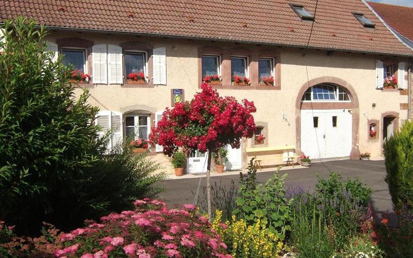 Chambre D'Hote Au Grenier D'Abondance Niderviller エクステリア 写真